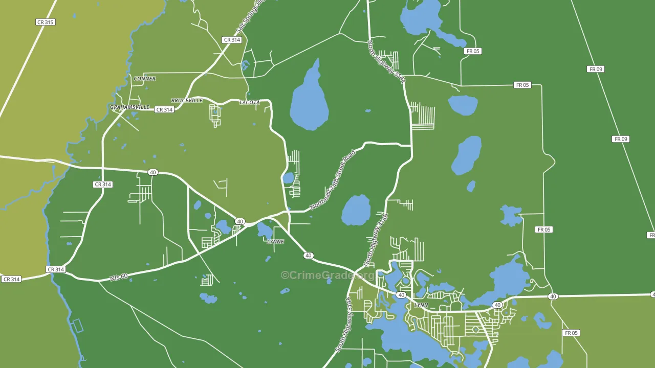 Lynne, FL Map of Vehicle Theft Rates