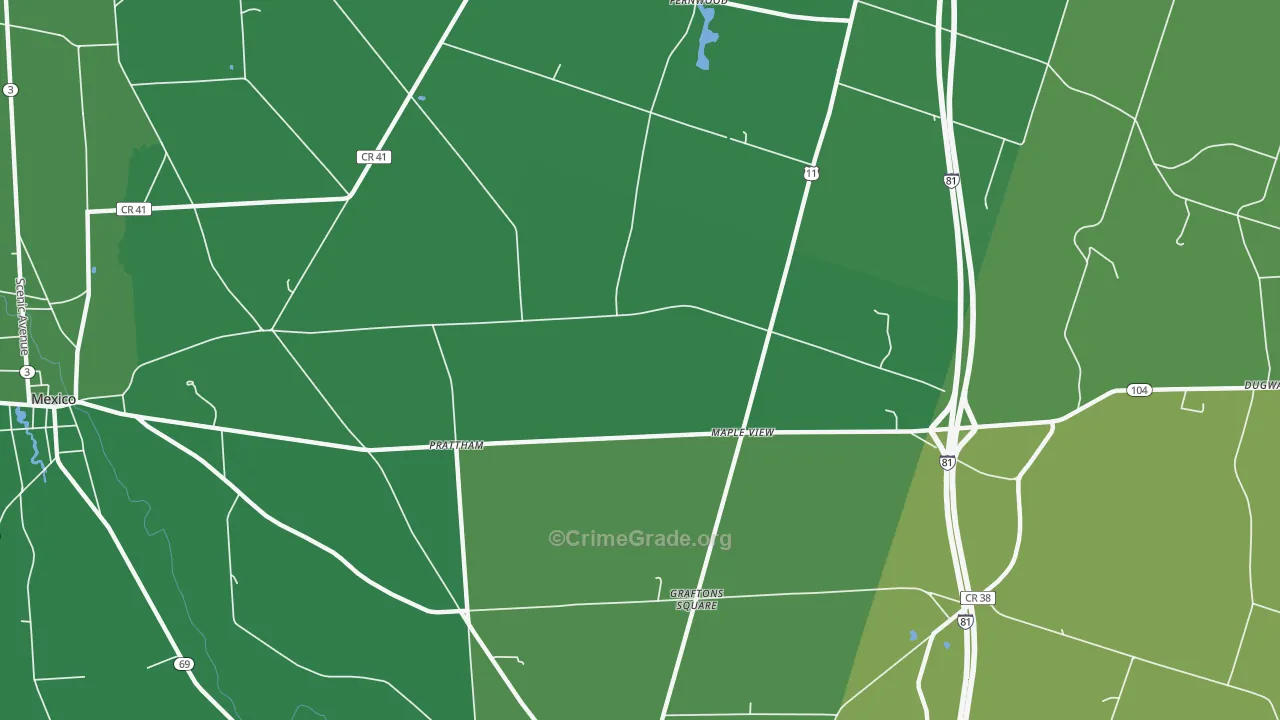 Maple View, NY Map of Vehicle Theft Rates