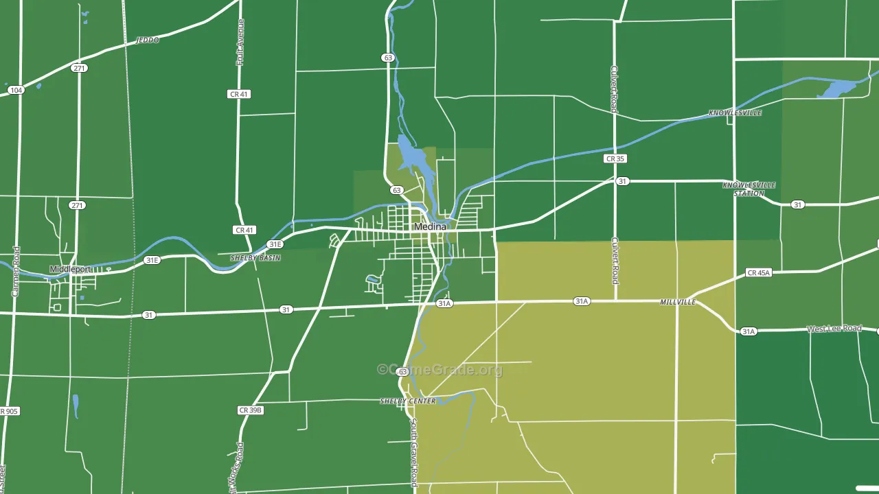 Medina, NY Map of Vehicle Theft Rates