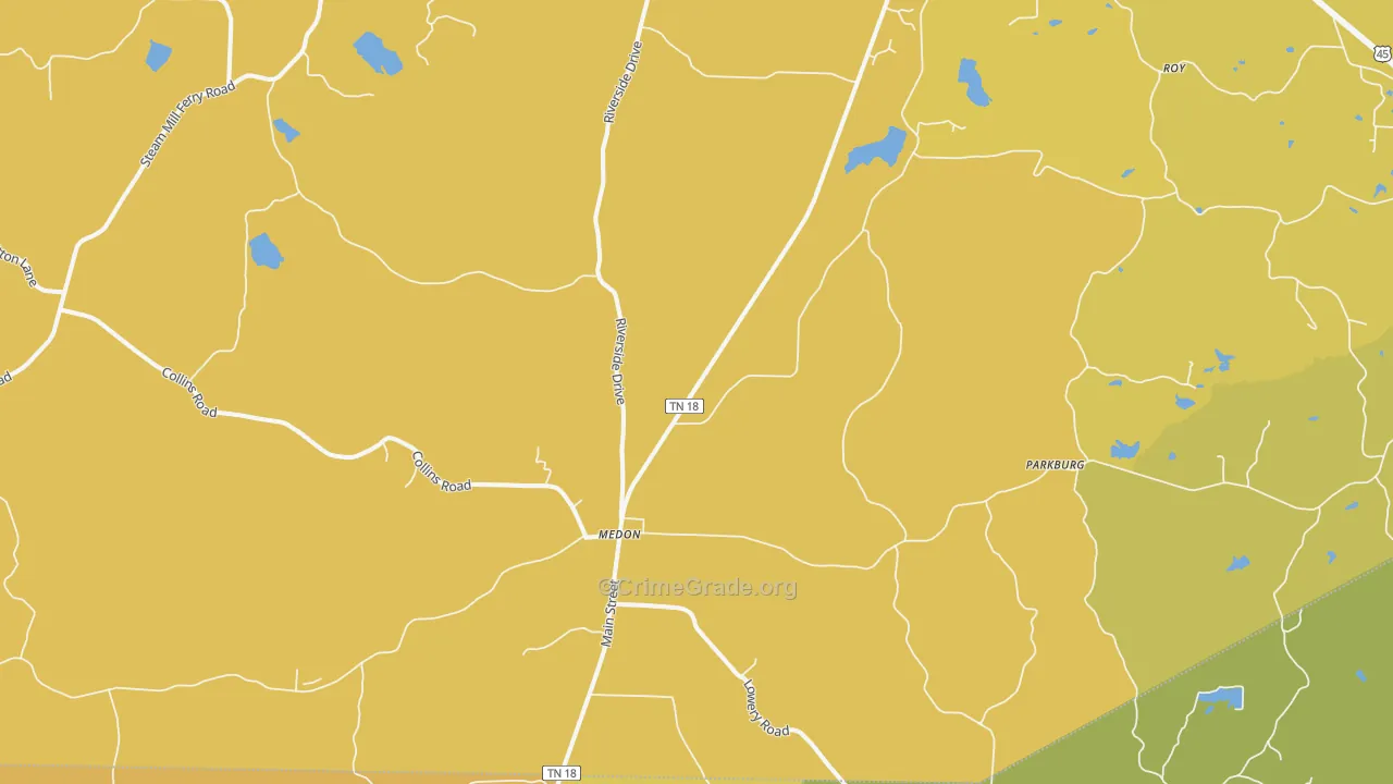 Medon, TN Map of Vehicle Theft Rates