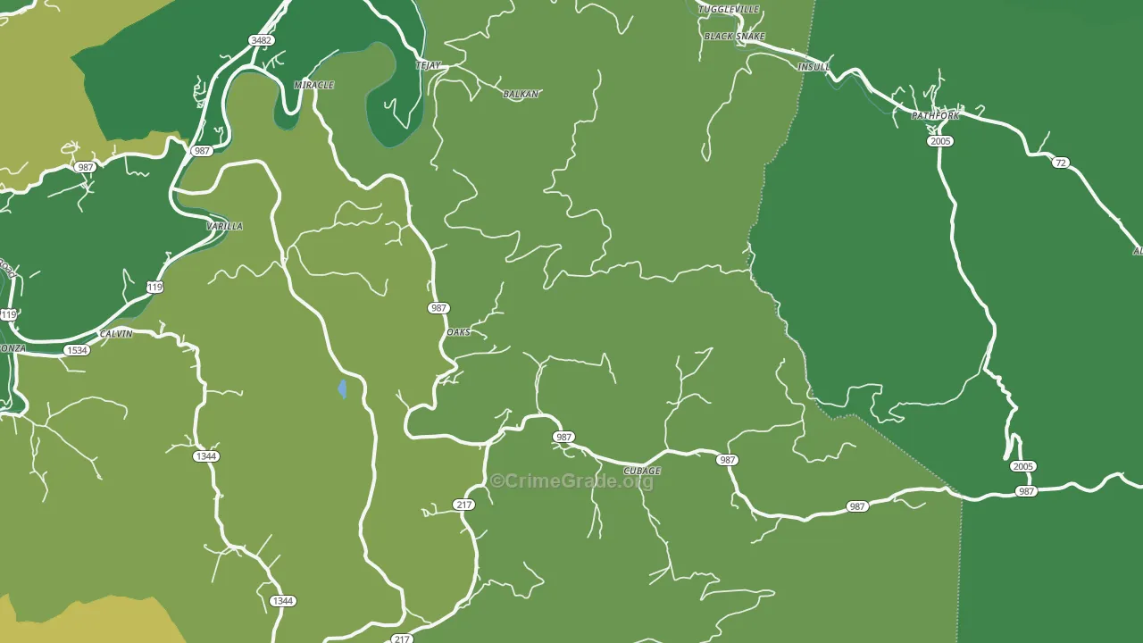 Miracle, KY Map of Vehicle Theft Rates