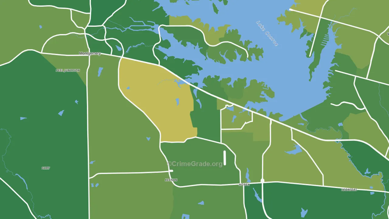 Montgomery, TX Map of Vehicle Theft Rates