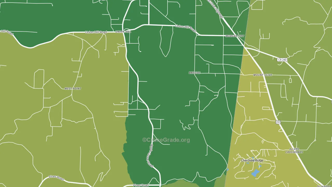 Morgan City, AL Map of Vehicle Theft Rates