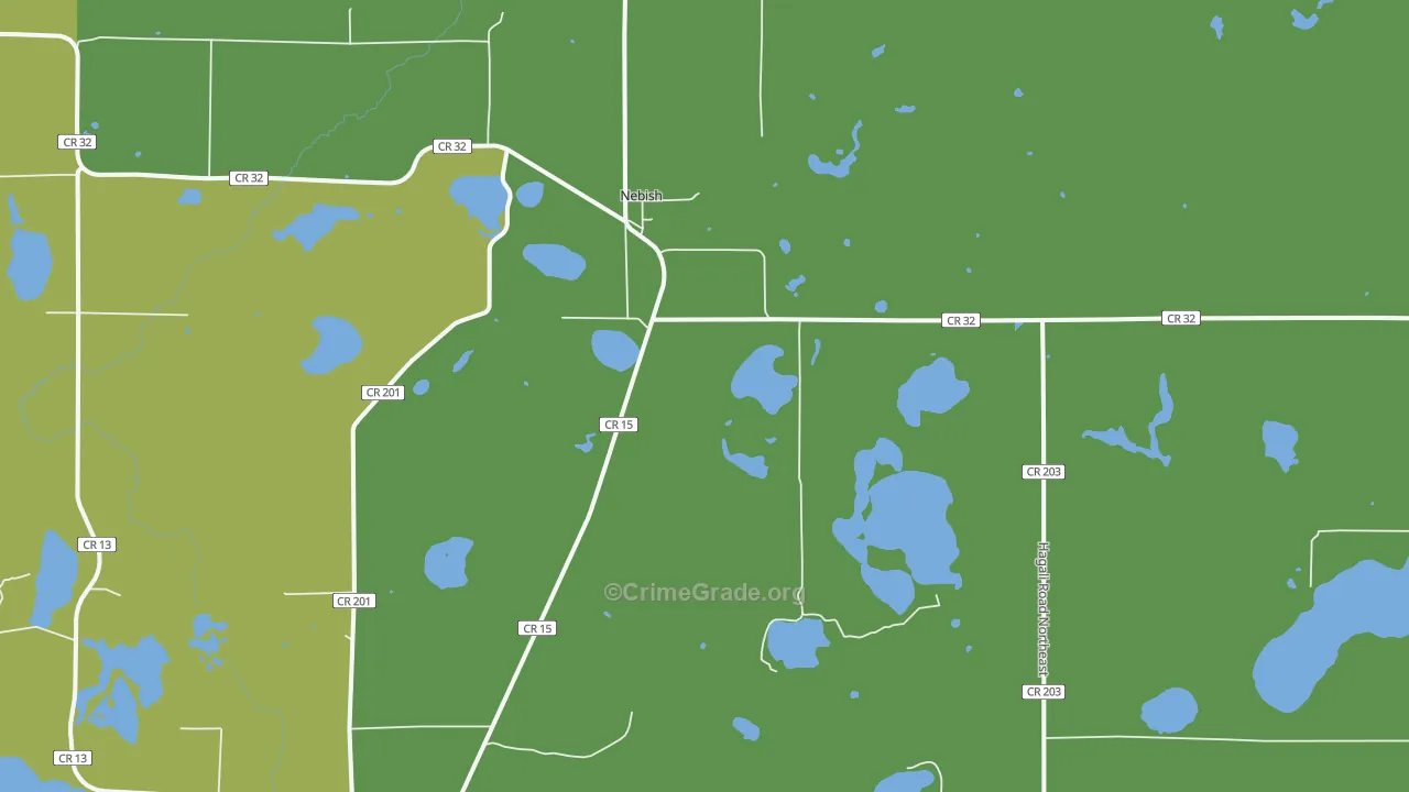 Nebish, MN Map of Vehicle Theft Rates