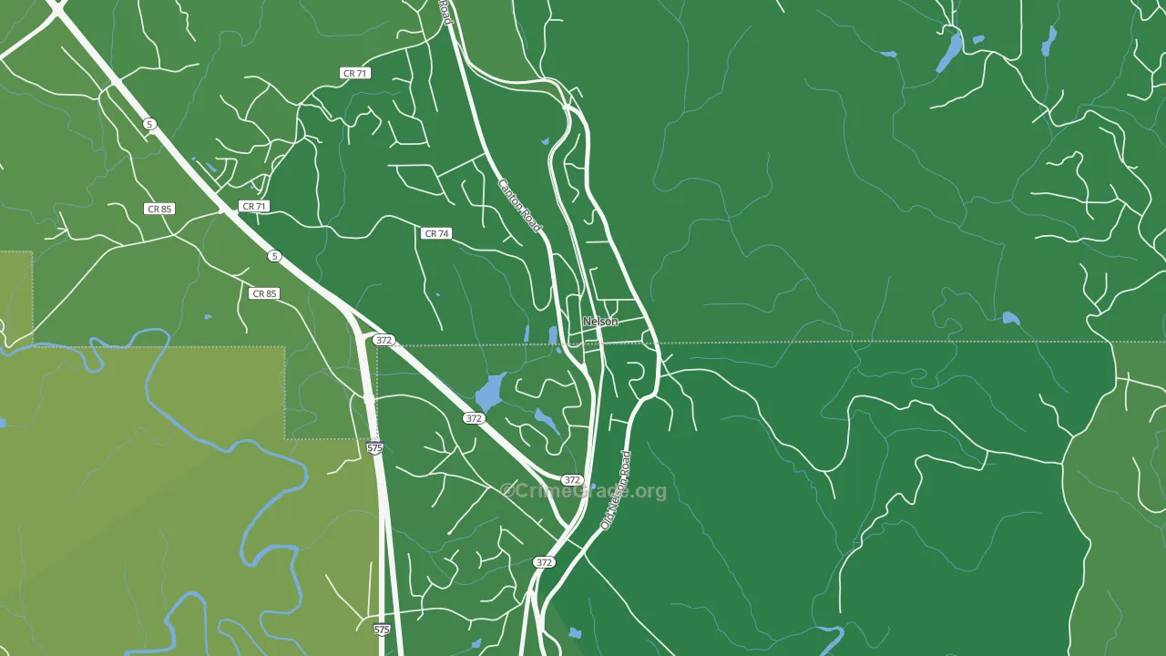 Nelson, GA Map of Vehicle Theft Rates