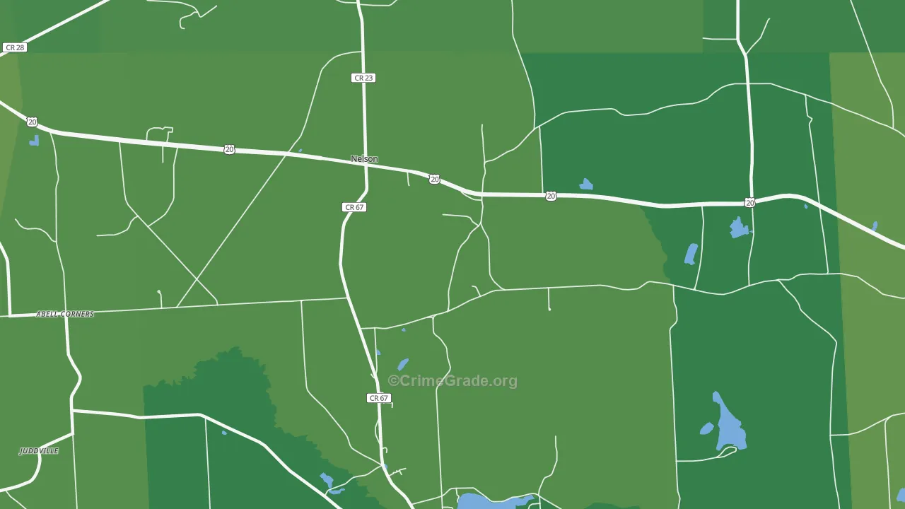 Nelson, NY Map of Vehicle Theft Rates