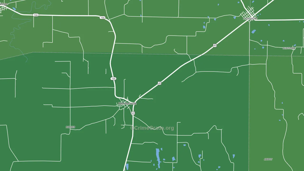 New Burnside, IL Map of Vehicle Theft Rates