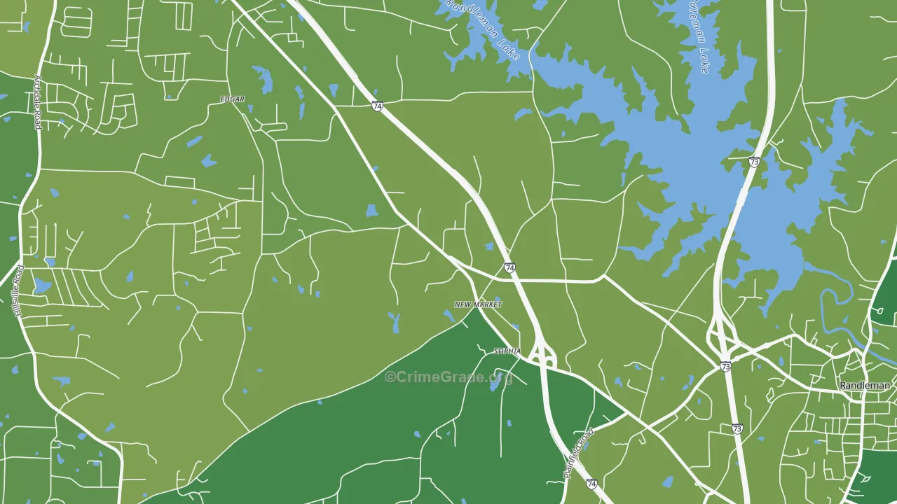 New Market, NC Map of Vehicle Theft Rates