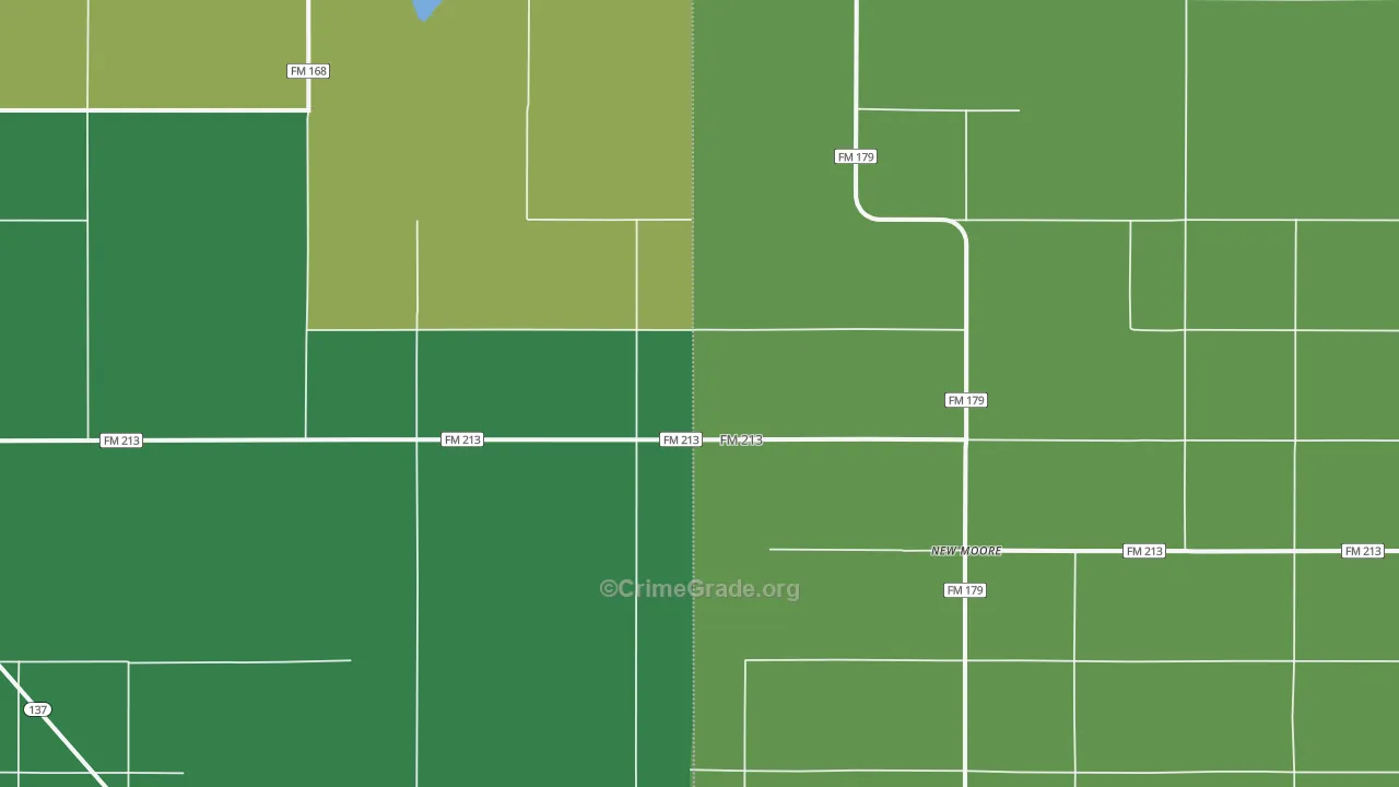 New Moore, TX Map of Vehicle Theft Rates