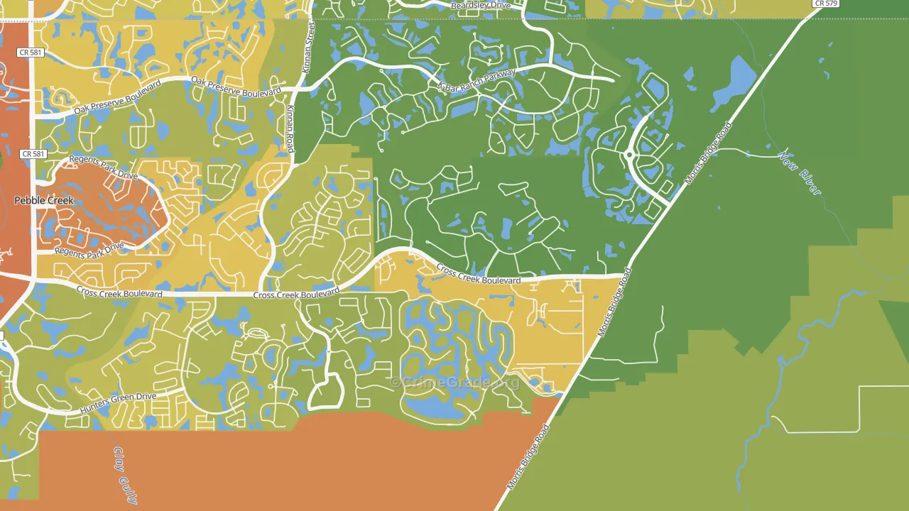 New Tampa, Tampa, FL Map of Vehicle Theft Rates
