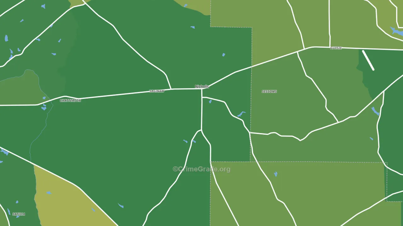 Nicholls, GA Map of Vehicle Theft Rates