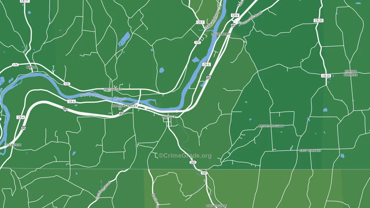 Nichols, NY Map of Vehicle Theft Rates