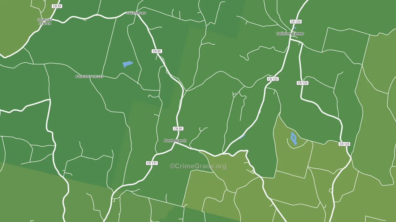 North Branch, NY Map of Vehicle Theft Rates
