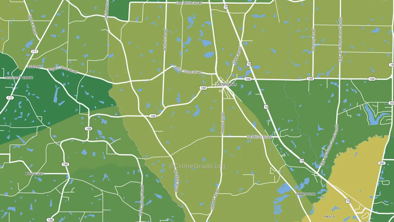 Ochlocknee, GA Map of Vehicle Theft Rates