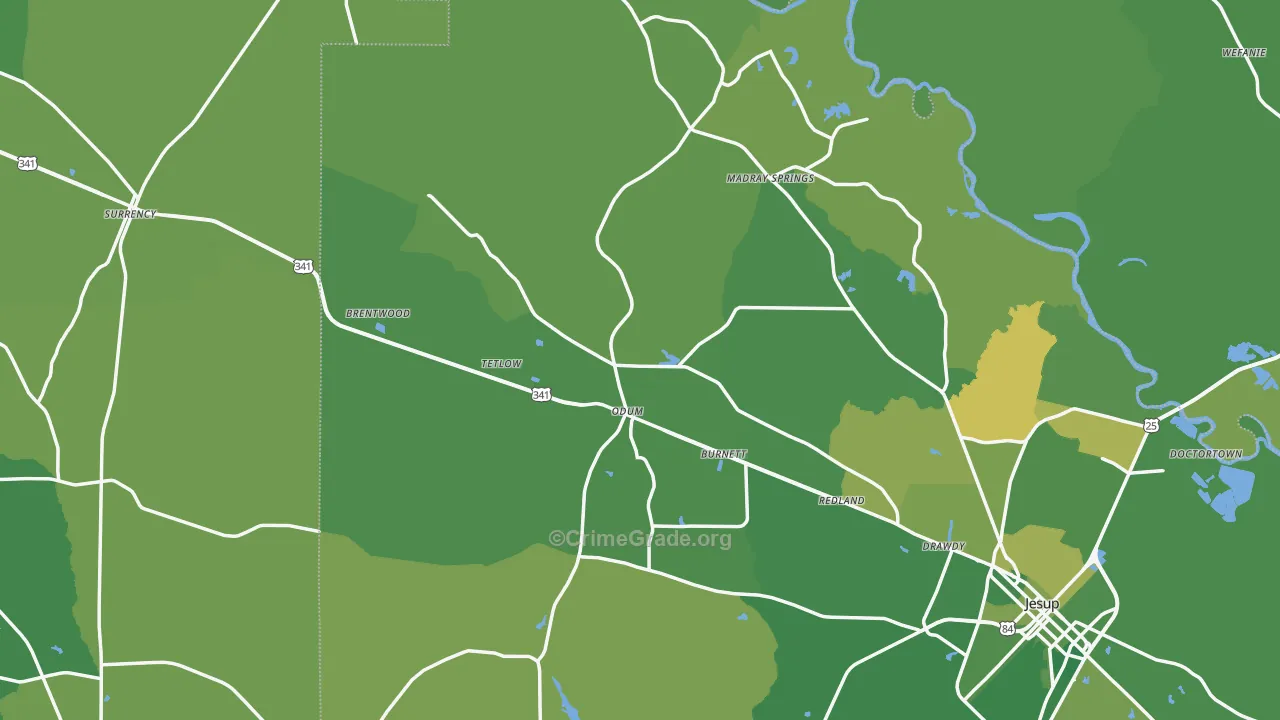 Odum, GA Map of Vehicle Theft Rates