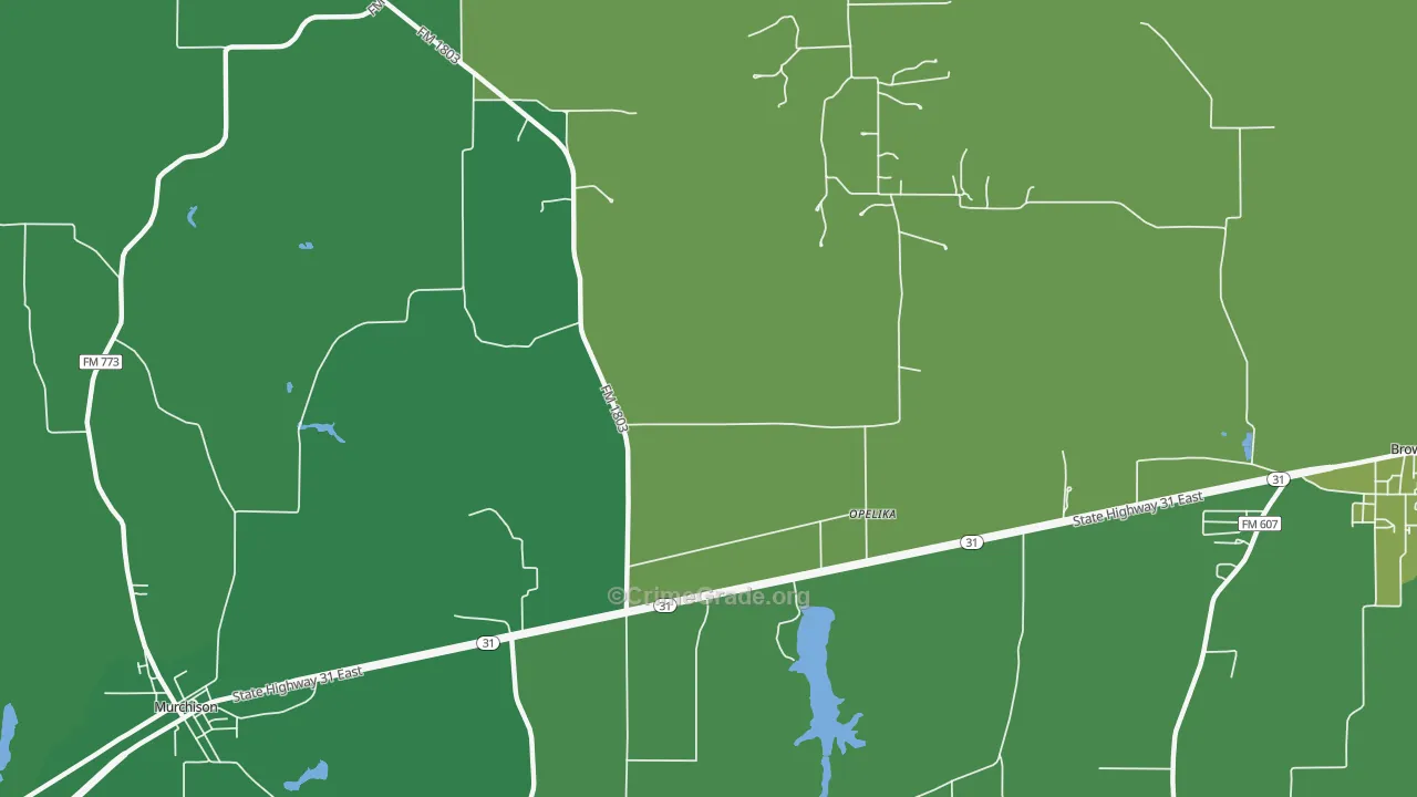 Opelika, TX Map of Vehicle Theft Rates
