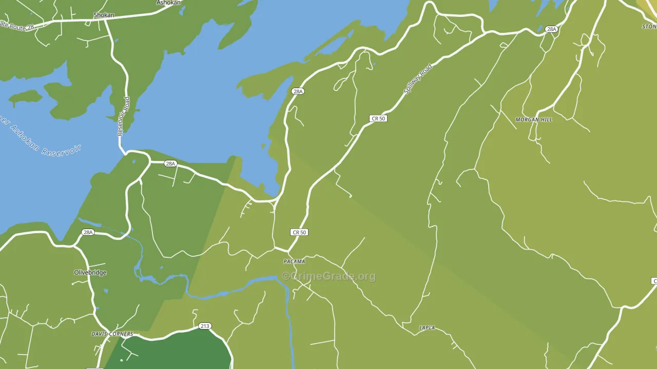 Pacama, NY Map of Vehicle Theft Rates