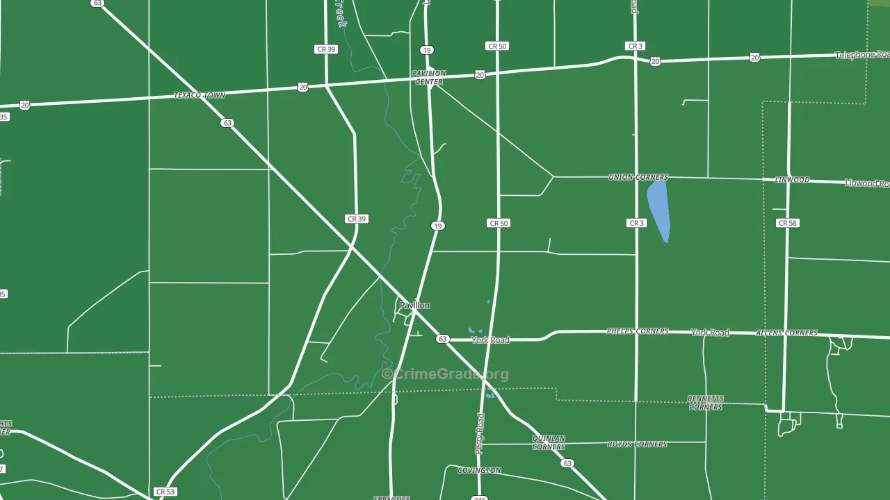 Pavilion, NY Map of Vehicle Theft Rates