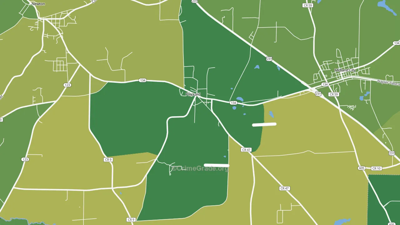 Pinckard, AL Map of Vehicle Theft Rates