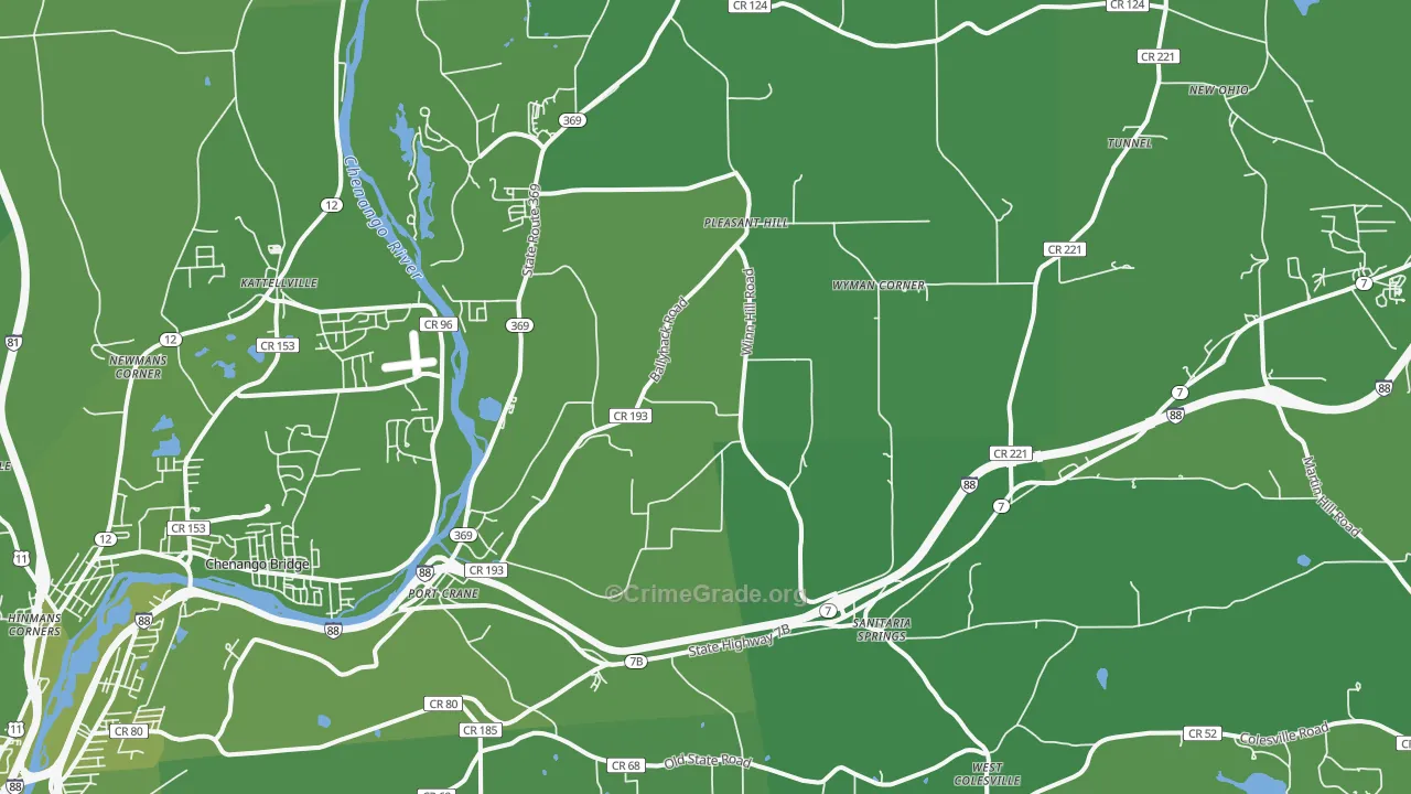 Port Crane, NY Map of Vehicle Theft Rates