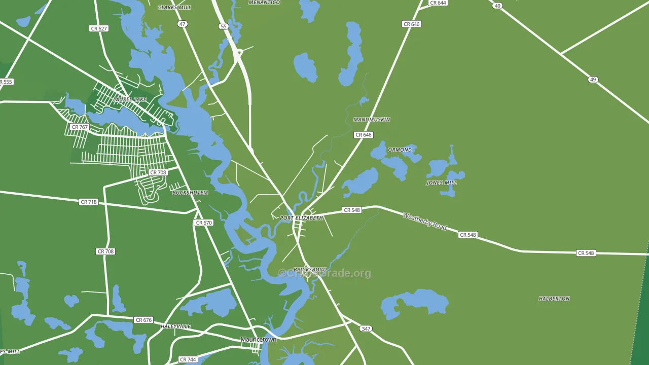 Port Elizabeth, NJ Map of Vehicle Theft Rates