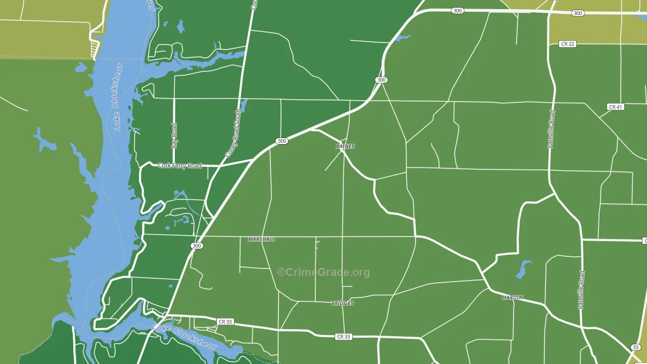 Raines, GA Map of Vehicle Theft Rates