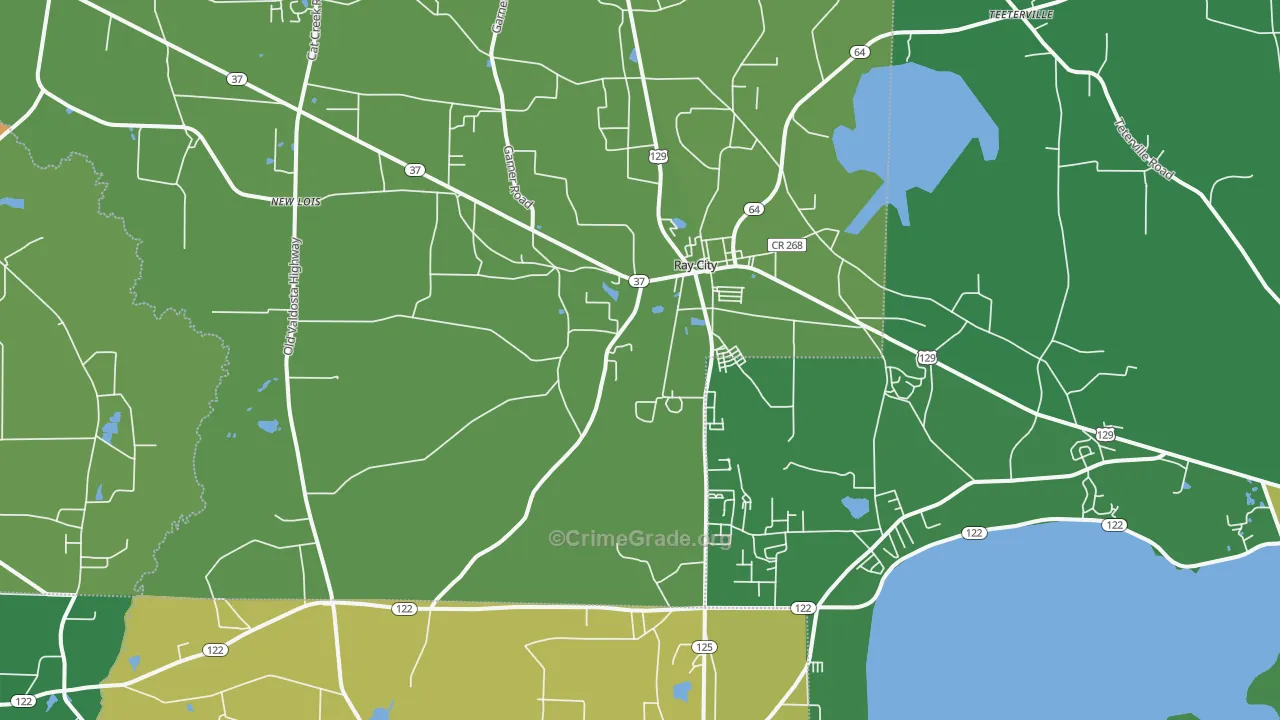 Ray City, GA Map of Vehicle Theft Rates