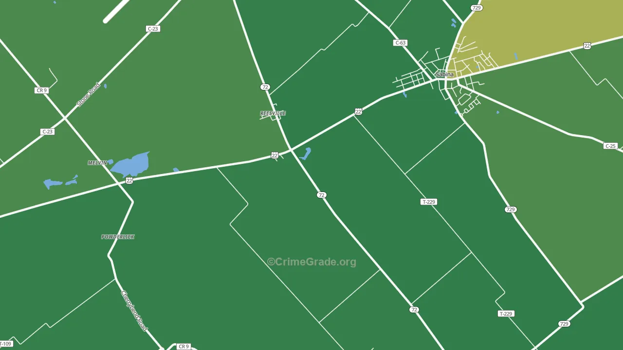 Reesville, OH Map of Vehicle Theft Rates