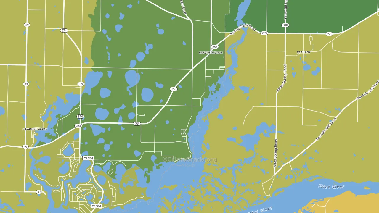 Reynoldsville, GA Map of Vehicle Theft Rates
