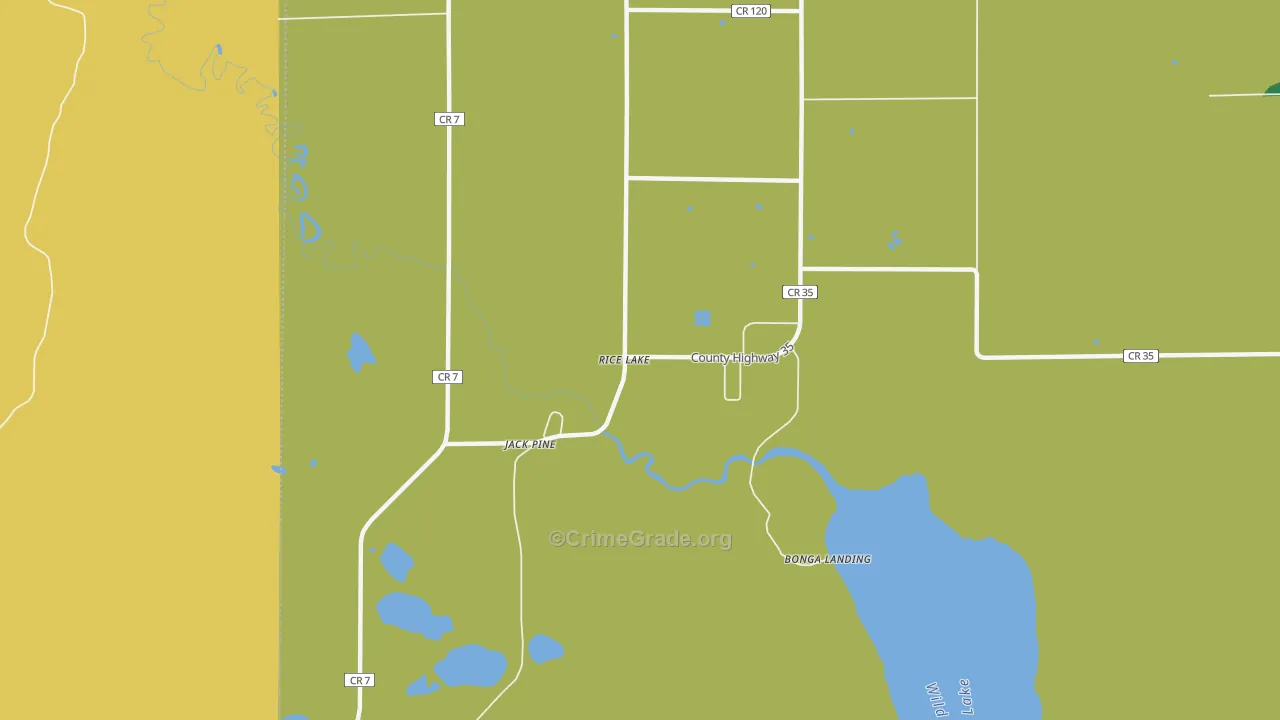 Rice Lake, MN Map of Vehicle Theft Rates