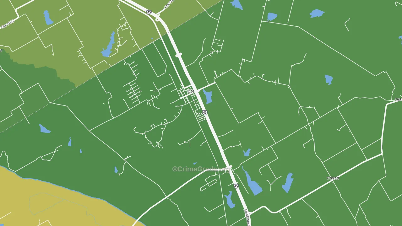 Rice, TX Map of Vehicle Theft Rates