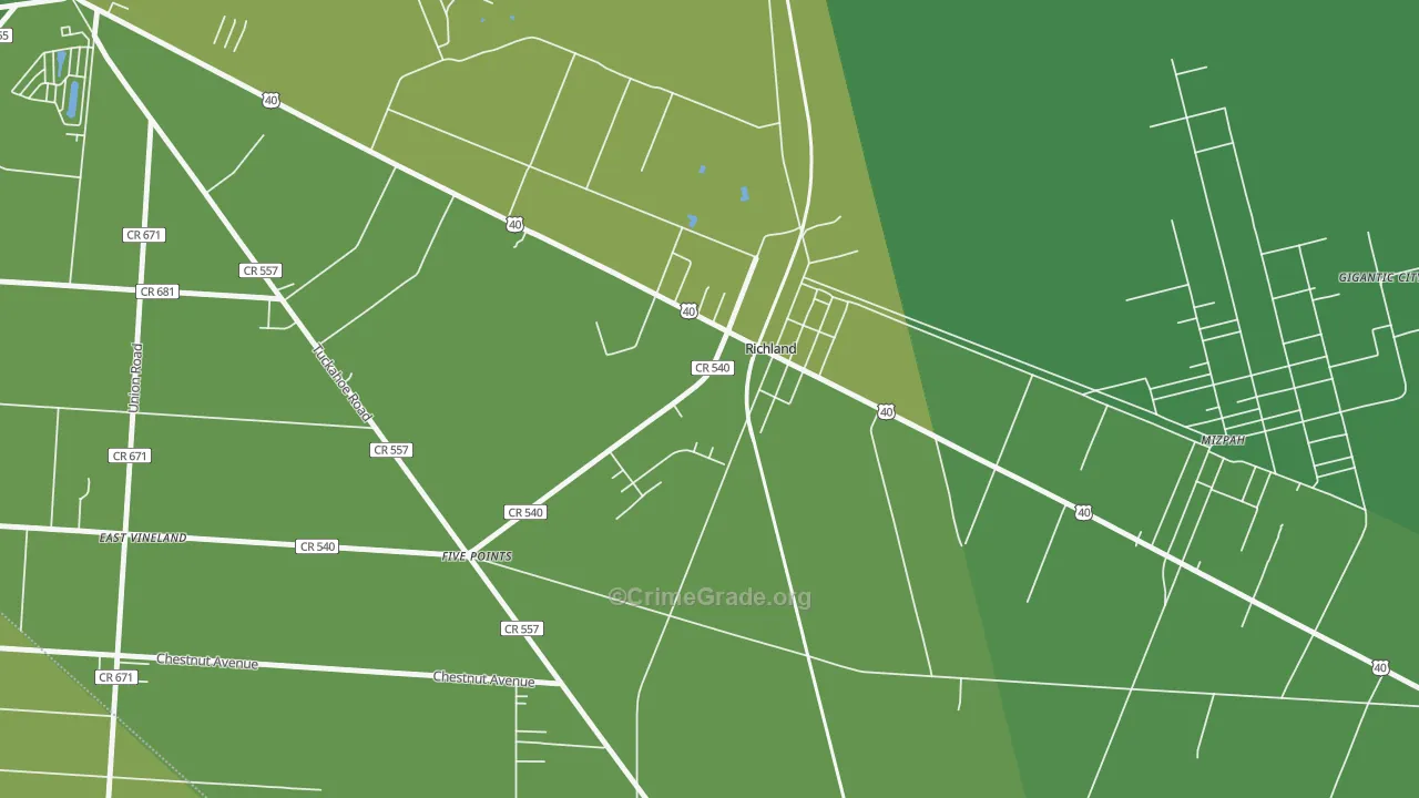 Richland, NJ Map of Vehicle Theft Rates