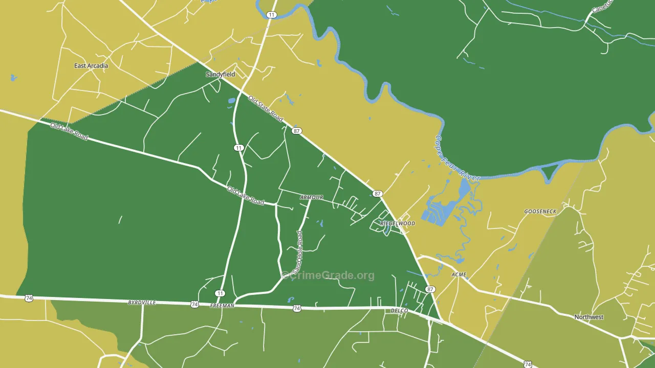 Riegelwood, NC Map of Vehicle Theft Rates