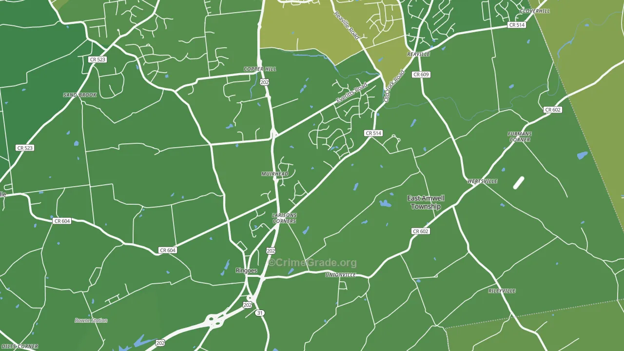 Ringoes, NJ Map of Vehicle Theft Rates