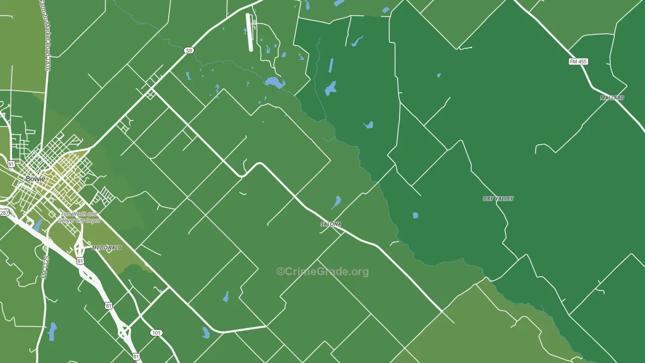 Salona, TX Map of Vehicle Theft Rates