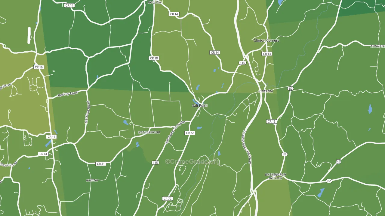 Salt Point, NY Map of Vehicle Theft Rates