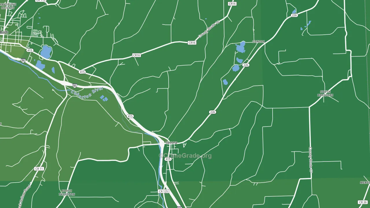 Savona, NY Map of Vehicle Theft Rates