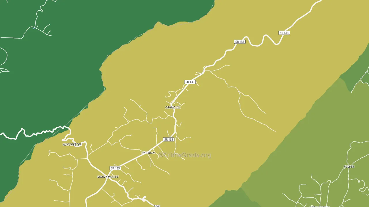 Shady Valley, TN Map of Vehicle Theft Rates