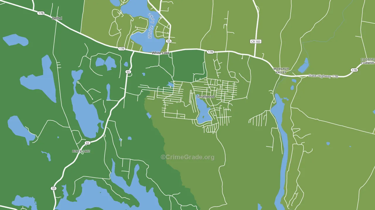 Smallwood, NY Map of Vehicle Theft Rates