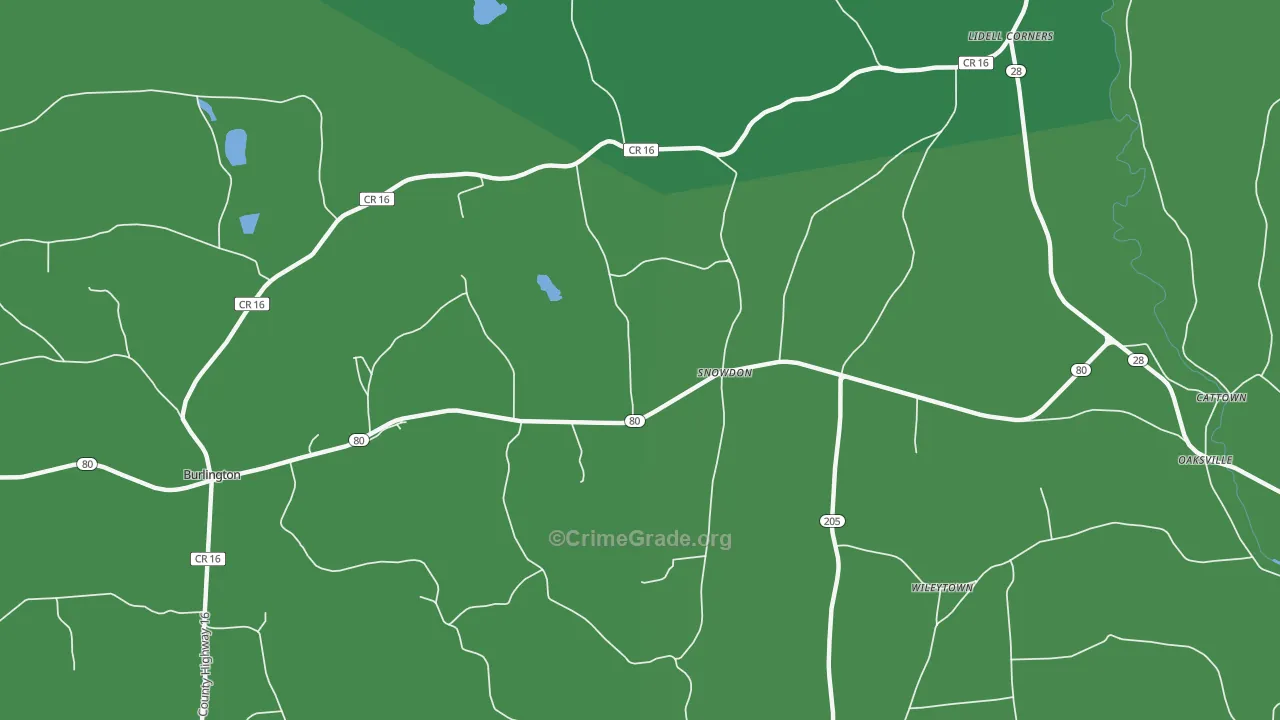 Snowdon, NY Map of Vehicle Theft Rates