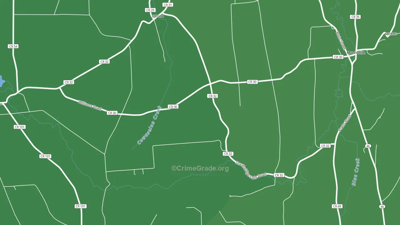 Solsville, NY Map of Vehicle Theft Rates