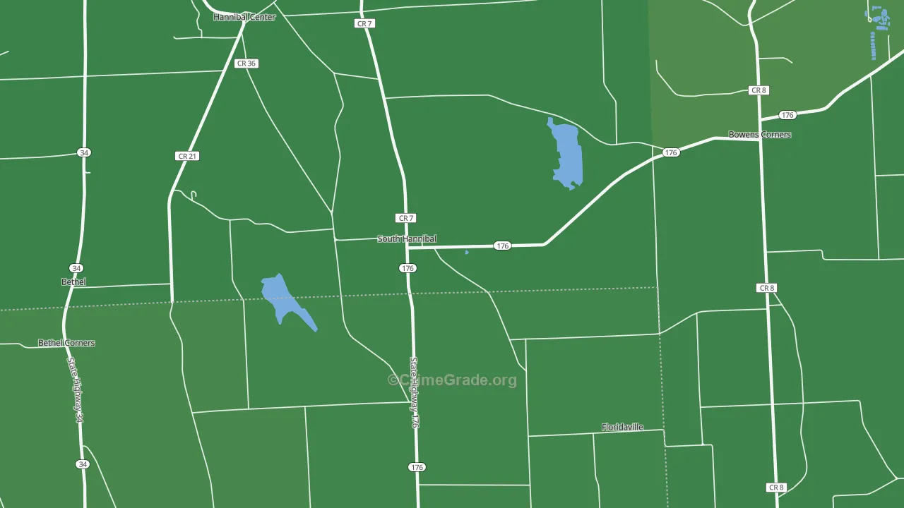 South Hannibal, NY Map of Vehicle Theft Rates