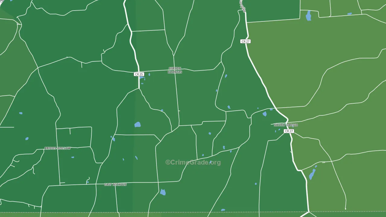 South Owego, NY Map of Vehicle Theft Rates