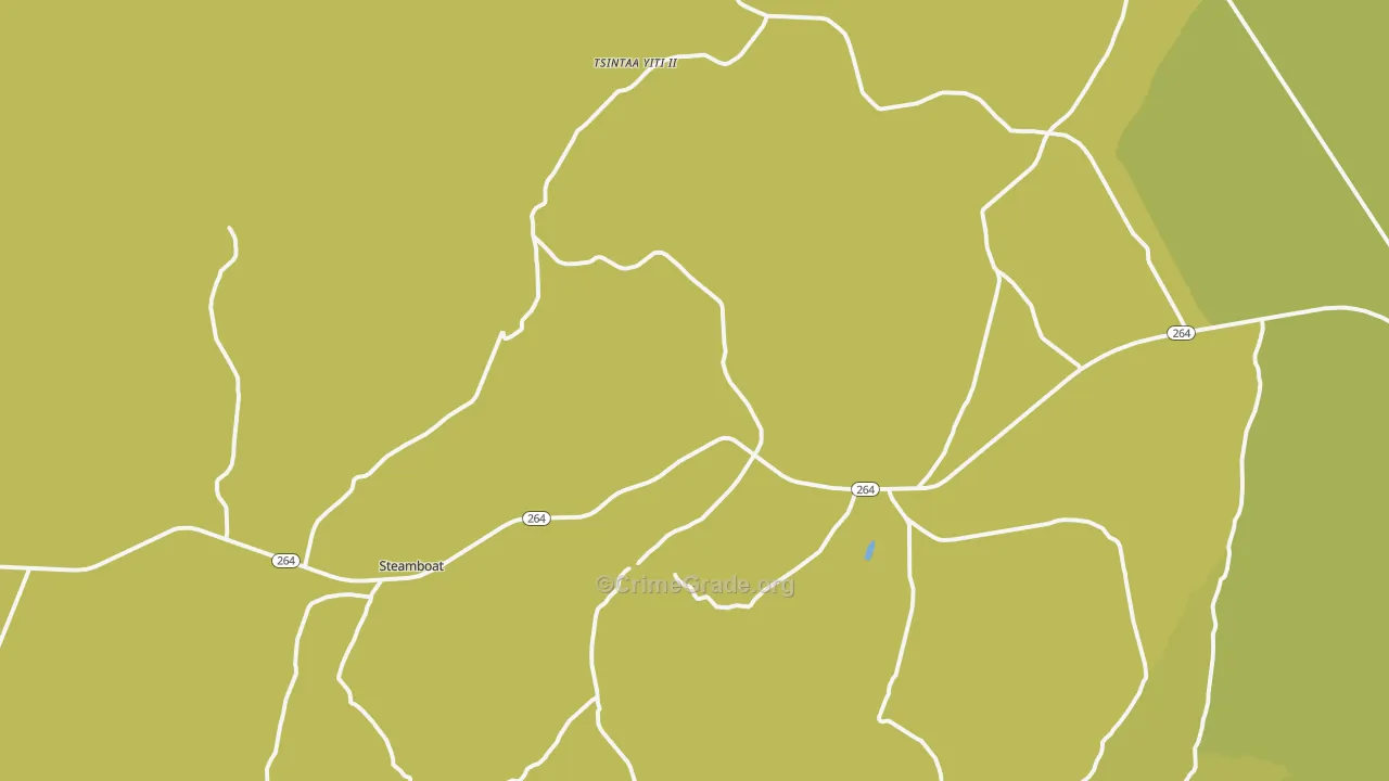 Steamboat Canyon, AZ Map of Vehicle Theft Rates