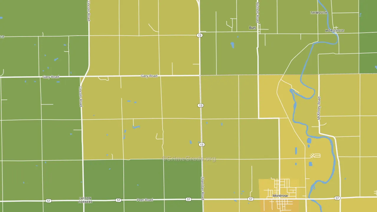 Taymouth, MI Map of Vehicle Theft Rates