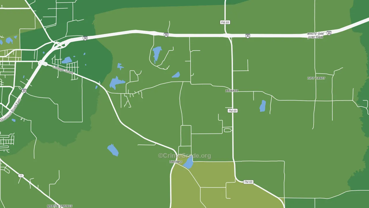 Thermo, TX Map of Vehicle Theft Rates