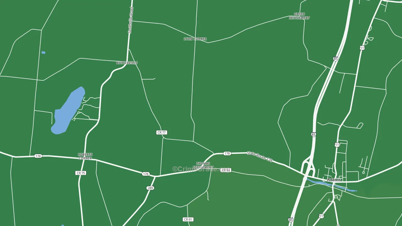 Thomas Settlement, NY Map of Vehicle Theft Rates