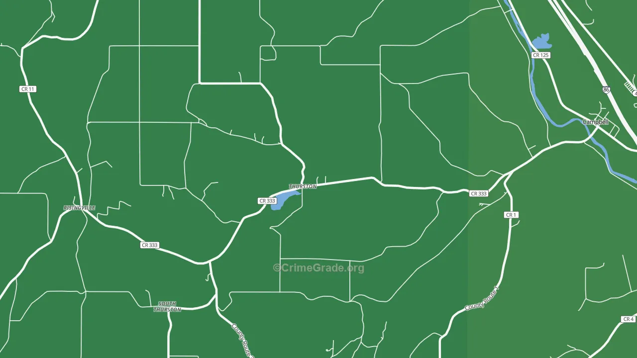 Thurston, NY Map of Vehicle Theft Rates