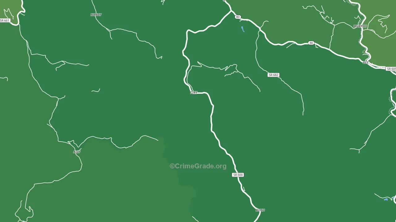 Tiny, VA Map of Vehicle Theft Rates