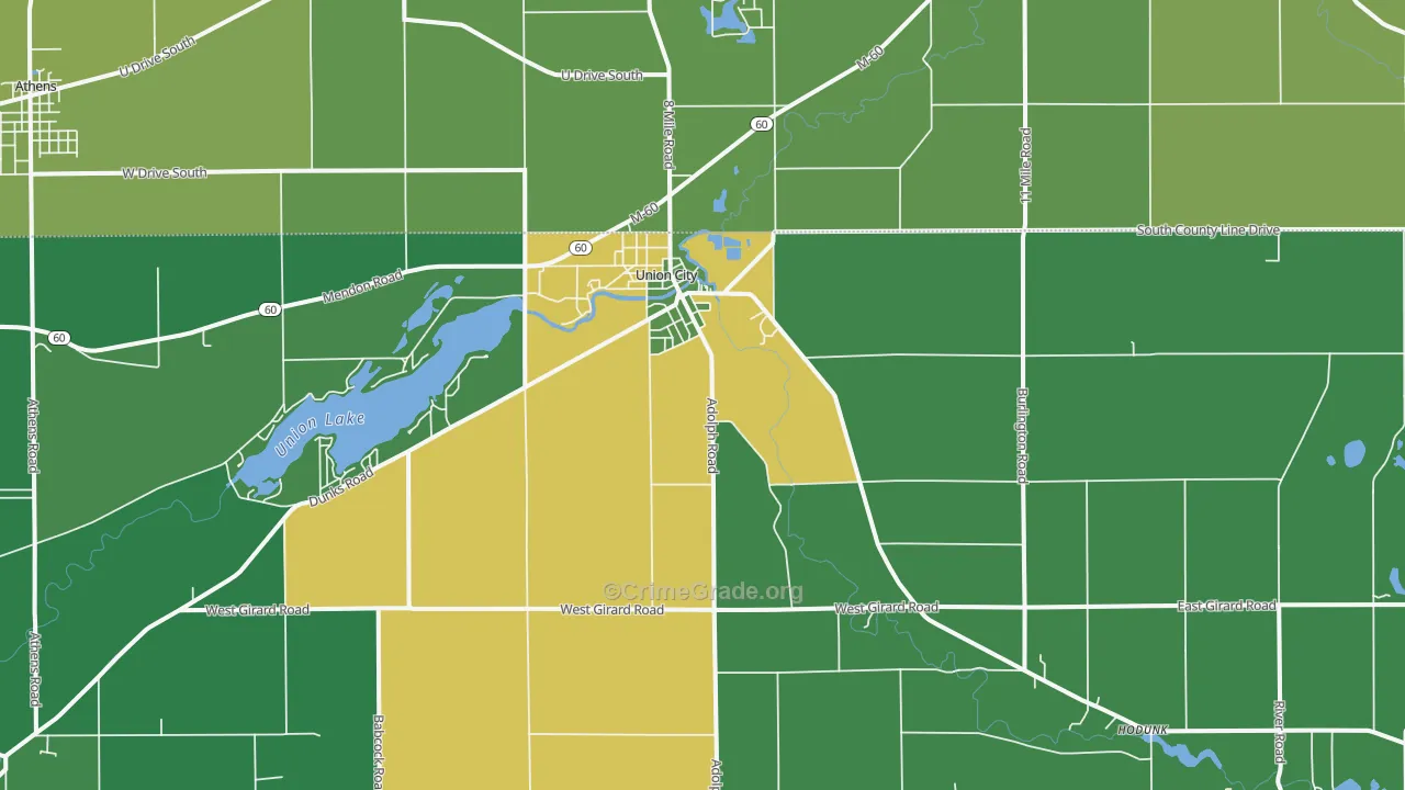Union City, MI Map of Vehicle Theft Rates
